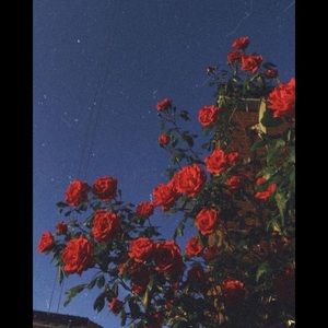 Meet your Posher, Christian